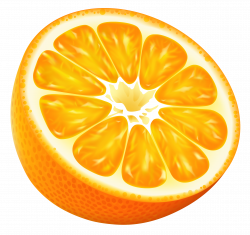 Half Orange PNG Vector Clipart Image | Pintura em tecido frutas ...