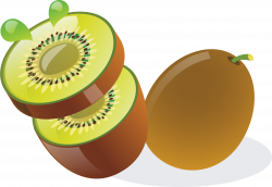 28+ Collection of Kiwi Fruit Clipart | High quality, free cliparts ...