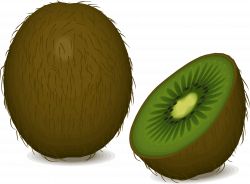Clipart - kiwi fruit