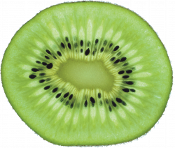 28+ Collection of Kiwi Slice Clipart | High quality, free cliparts ...