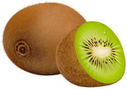 kiwi fruit png - Free PNG Images | TOPpng