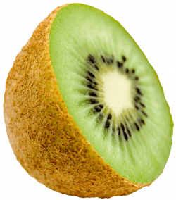 kiwi png - Free PNG Images | TOPpng