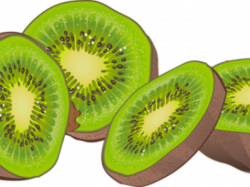Download Kiwi Clipart One - Clip Art - Full Size PNG Image ...