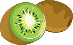28+ Collection of Kiwi Clipart Free | High quality, free cliparts ...