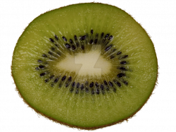 Kiwi Slice PNG by Bunny-with-Camera on DeviantArt