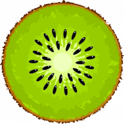 kiwi slice png - Free PNG Images | TOPpng