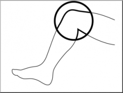 Clip Art: Parts of the Body: Knee B&W Unlabeled I abcteach.com ...