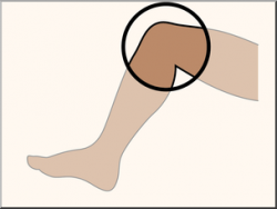 Clip Art: Parts of the Body: Knee Color Unlabeled I abcteach.com ...