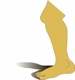 Leg Clip Art at Clker.com - vector clip art online, royalty free ...