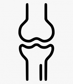 Knee Joint Bone Skeleton X Ray Png - Bone Icon Png #178151 ...
