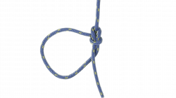 Bowline Knot transparent PNG - StickPNG