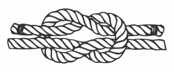 28+ Collection of Reef Knot Drawing | High quality, free cliparts ...