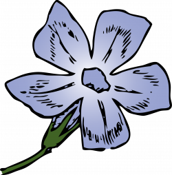 Clipart - periwinkle