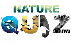 Nature Quiz – Suru's Planet
