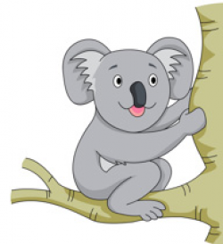 Free Koala Clipart - Clip Art Pictures - Graphics - Illustrations