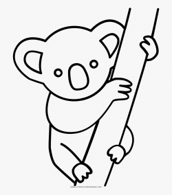 Collection Of Free Koala Drawing Color Download On - Drawing ...