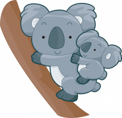 28+ Collection of Baby Koala Clipart | High quality, free cliparts ...