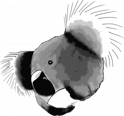 Clipart - Koala