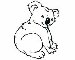 Collection of Koala clipart | Free download best Koala ...