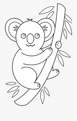 Koala Outline - Koala Face Clipart Black And White, Cliparts ...