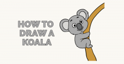 How to Draw a Koala - Really Easy Drawing Tutorial
