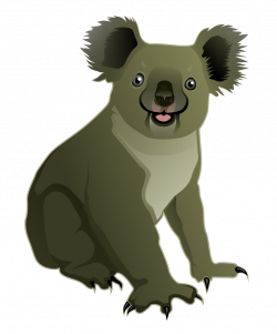 Koala Bear Clip art - koalahd 778*939 transprent Png Free Download ...