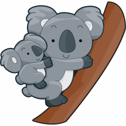 28+ Collection of Koala Clipart Png | High quality, free cliparts ...