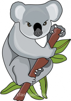 11+ Clipart Koala | ClipartLook