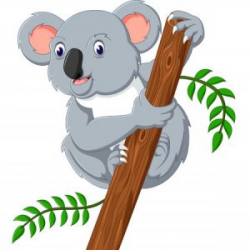 Koala Kids' Corner - friendsofthekoala.org
