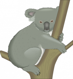 Koala In Tree Clip Art at Clker.com - vector clip art online ...