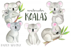 Watercolor Koalas Clipart | Koala Bear Family - Illustrated ...
