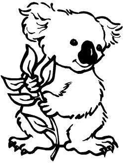 Free Koala Bear Clipart, Download Free Clip Art, Free Clip ...