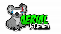 Aerial Koala