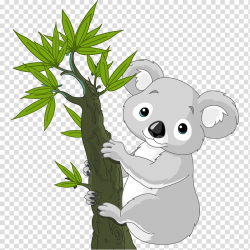 Koala Cuteness , koala transparent background PNG clipart ...