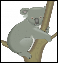 Best De Todo Un Poco Bricolage Crafts Image Of Clipart Koala Bear ...