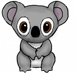 koala koala sticker nature transparent freetoedit drawi...