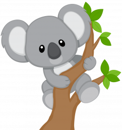 Grey Koala PNG Transparent Clipart Image - Free Transparent ...