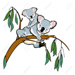 Baby Koala Clipart | Free download best Baby Koala Clipart ...