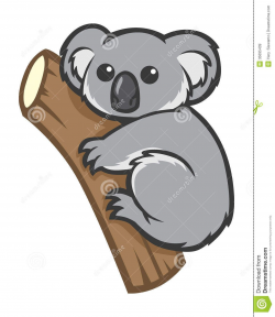 Koala clipart tree cartoon - Pencil and in color koala ...