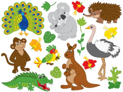 Australian Animals Clipart - Vector Koala Clipart, Kangaroo Clipart, Emu  Clipart, Echidna Clipart, Australian Animals Clip Art