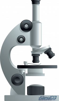Microscope slide clipart - WikiClipArt