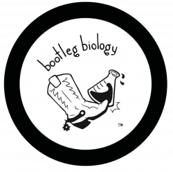 Barrel Culture Glassware & Coaster Set – Bootleg Biology