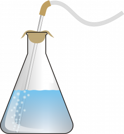 Erlenmeyer flask Laboratory Flasks Chemistry Clip art - scientist ...