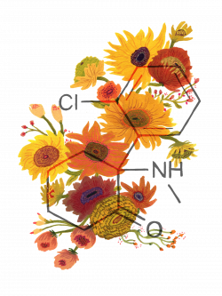 sunflowers | illustration - plant still life flowers | Pinterest ...