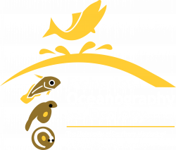 Links – Fisheries Oceanography and Ecology Lab