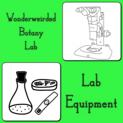 Botany Lab Science clipart for | Clipart Panda - Free ...