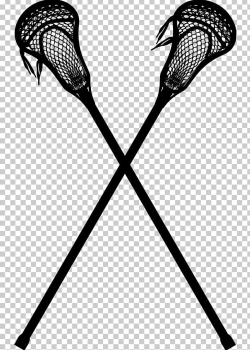 Lacrosse Sticks Hockey Sticks Women's Lacrosse PNG, Clipart ...
