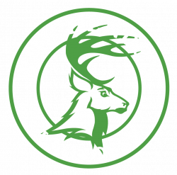 Athletic Accomplishments