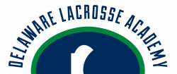 Silverbacks Youth | Delaware Lacrosse Academy