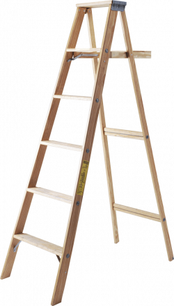 Browsing Ladder Category - NG Design